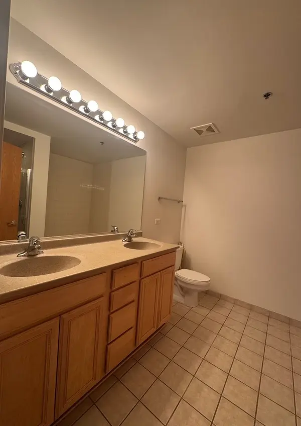 1250 S Indiana AVE #702, Chicago, IL 60605