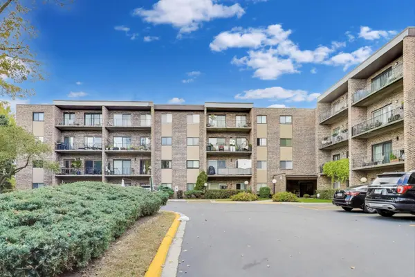 725 W Huntington Commons RD #217, Mount Prospect, IL 60056