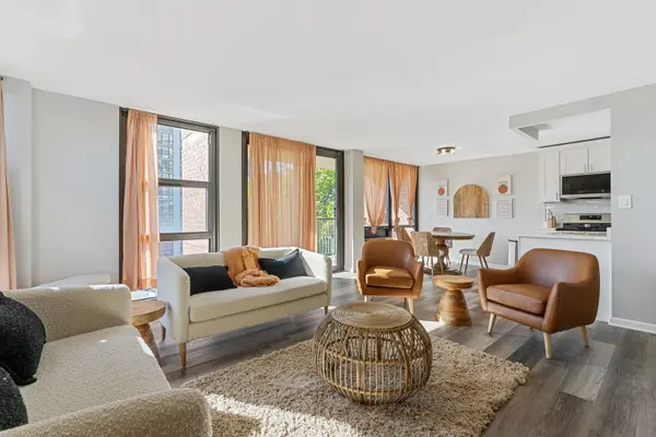 2941 S Michigan AVE #407, Chicago, IL 60616
