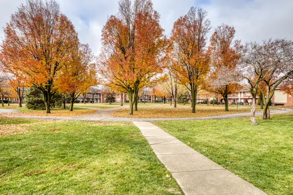 1119 E ALGONQUIN RD #11, Arlington Heights, IL 60005