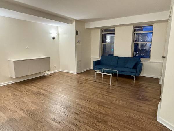 40 E 9TH ST #1313, Chicago, IL 60605