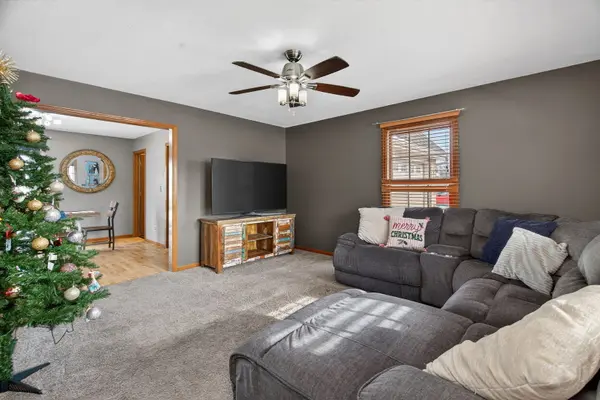 364 W Anndon ST, Braidwood, IL 60408