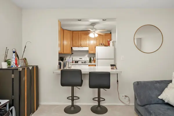 1460 N SANDBURG TER #705, Chicago, IL 60610