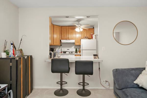 1460 N SANDBURG TER #705, Chicago, IL 60610