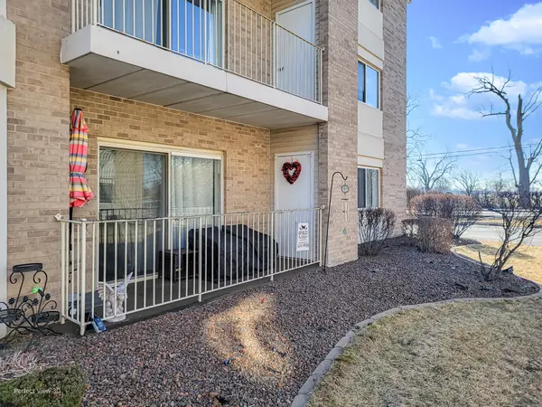 5331 W Mint Julip DR #101, Alsip, IL 60803