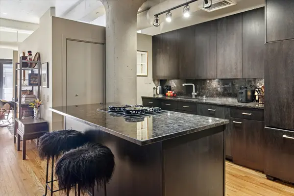 130 S Canal ST #323, Chicago, IL 60606