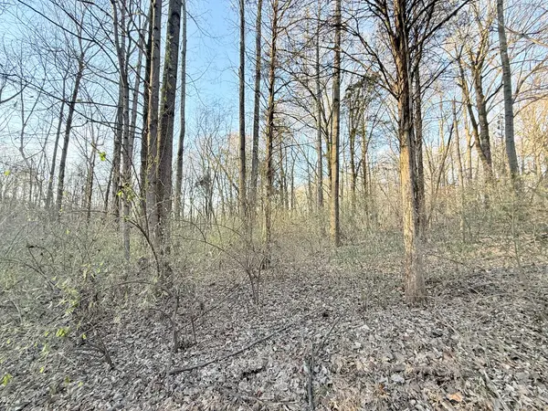 215 Tucker Hill RD, Cave In Rock, IL 62919