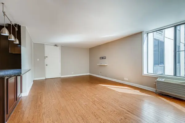 1339 N Dearborn ST #11H, Chicago, IL 60610