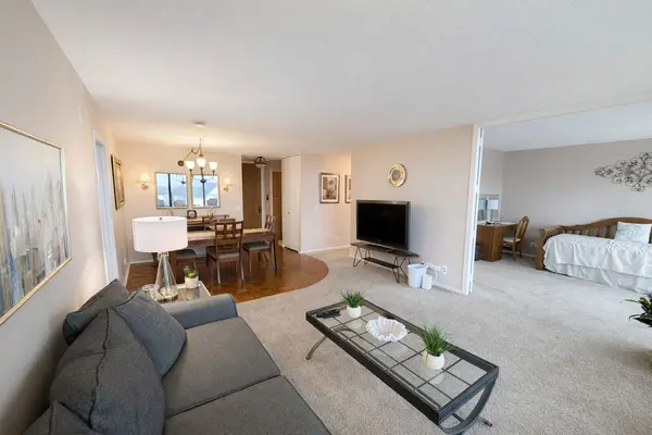 3100 S King DR #903, Chicago, IL 60616