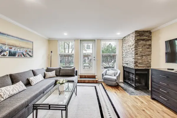 1176 S Plymouth CT #1NW, Chicago, IL 60605