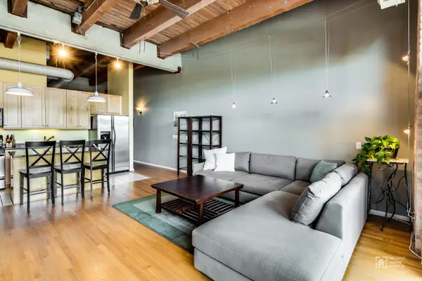 1122 W Newport AVE #2H, Chicago, IL 60657