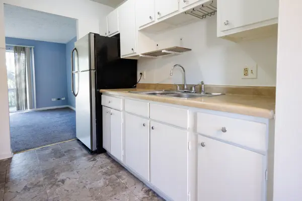1119 S Curtis AVE #F62, Kankakee, IL 60901