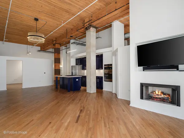 360 W Illinois ST #231, Chicago, IL 60654