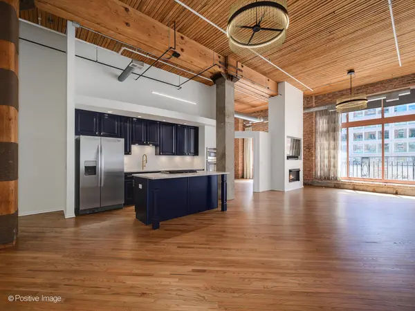 360 W Illinois ST #231, Chicago, IL 60654