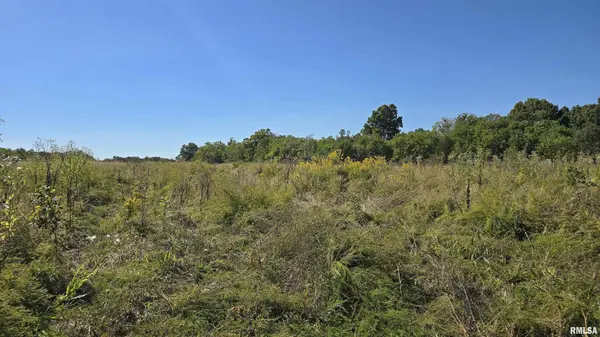 0 Mount Pisgah RD, Buncombe, IL 62912