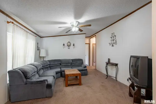 4543 HARVEY ST, Coello, IL 62825