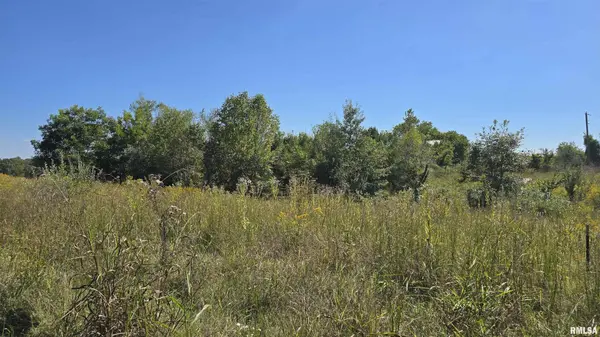 0 Mount Pisgah RD, Buncombe, IL 62912