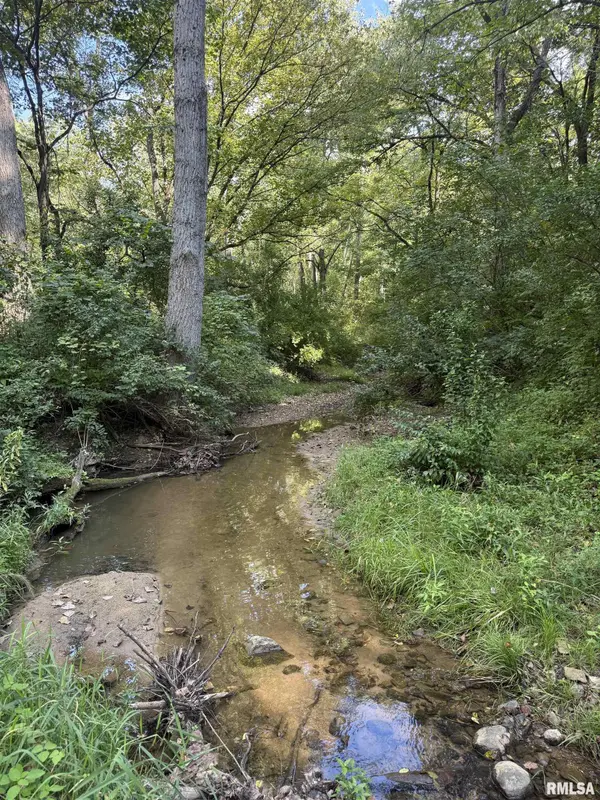 12110 Dutchman RD, Browning, IL 62624