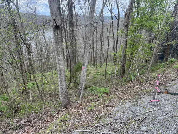 132 Lakeview Dr, Smithville, TN 37166