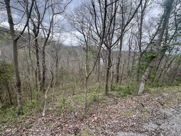 132 Lakeview Dr, Smithville, TN 37166