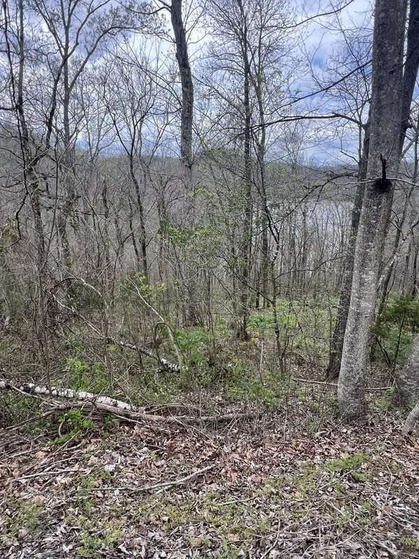 132 Lakeview Dr, Smithville, TN 37166