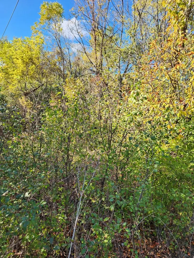 27W0S Roosevelt RD, Winfield, IL 60190
