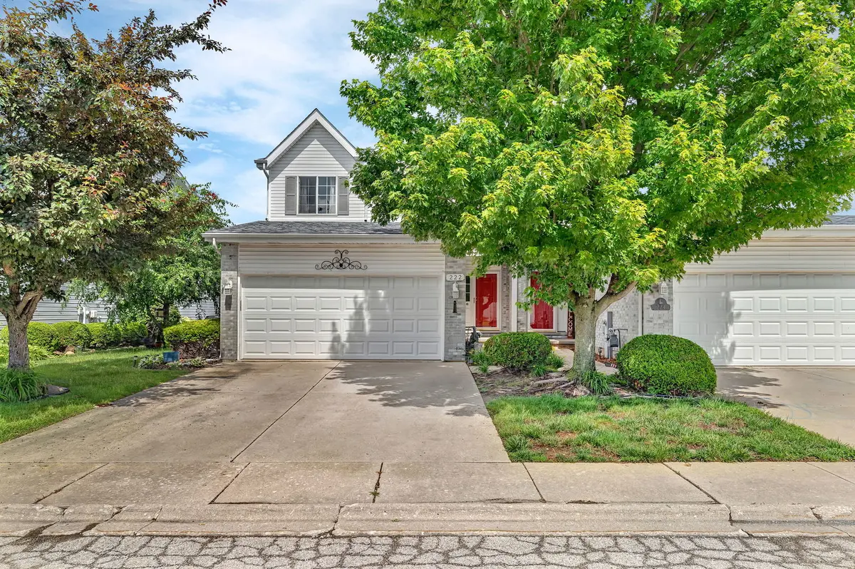 222 Harbor LNDG, Braidwood, IL 60408