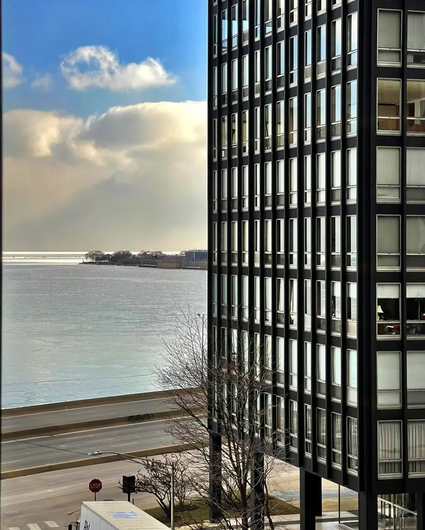 880 N Lake Shore DR #25H, Chicago, IL 60611