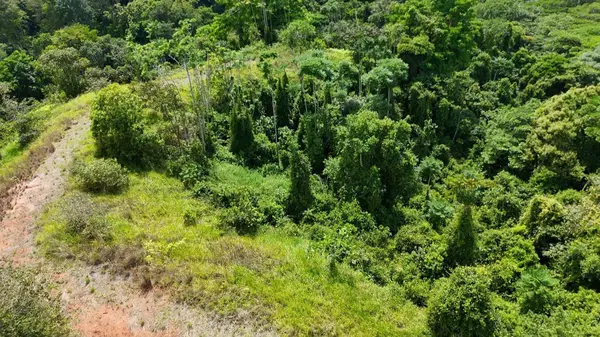 000000 Elevate Your Dreams – 3.70 Acres of Paradise, Out Of State, 60501