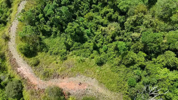 000000 Elevate Your Dreams – 3.70 Acres of Paradise, Out Of State, 60501