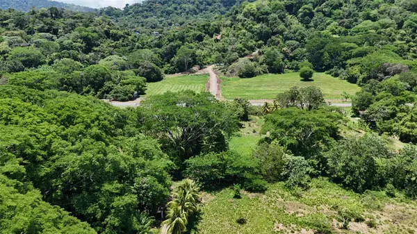 000 Prime Investment Opportunity – 107.75 Acres, Out Of State, 10110