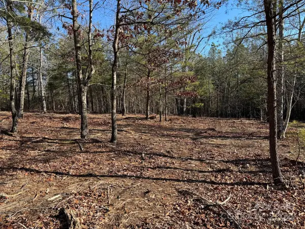 305 Bear Cliff WAY, Lake Lure, NC 28746