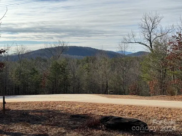 305 Bear Cliff WAY,  Lake Lure,  NC 28746