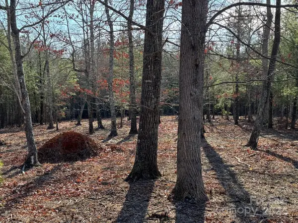 305 Bear Cliff WAY, Lake Lure, NC 28746