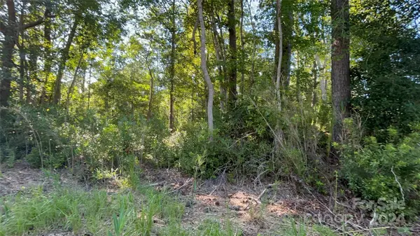 tbd Manhollow Church RD, Hampstead, NC 28443