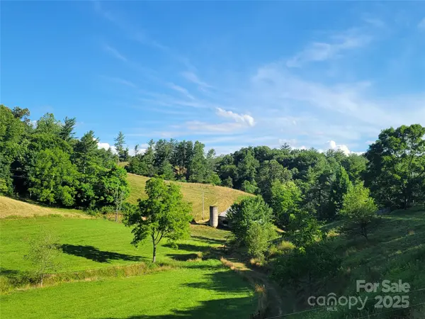 171 Cowtail CV, Clyde, NC 28721