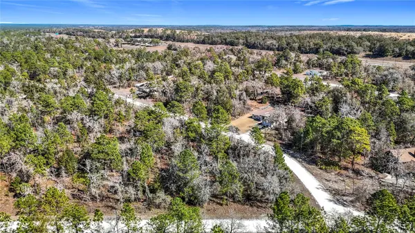 16070 SHELDRAKE LOOP, Weeki Wachee, FL 34614