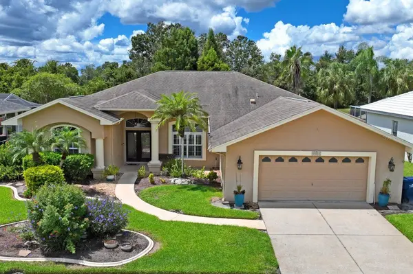 23218 CYPRESS TRAIL DR, Lutz, FL 33549