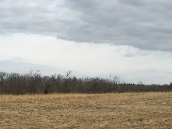 Lot #35 E LONGWOOD DR, Woodstock, IL 60098
