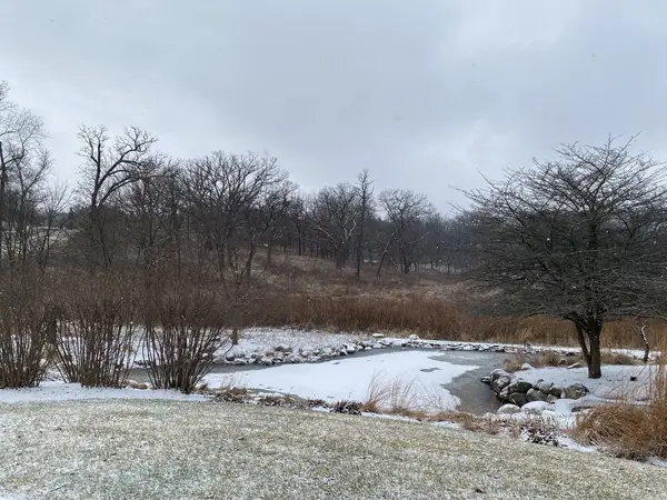 Lot #45 E LONGWOOD DR, Woodstock, IL 60098