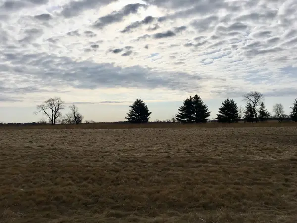 Lot #60 E LONGWOOD DR, Woodstock, IL 60098