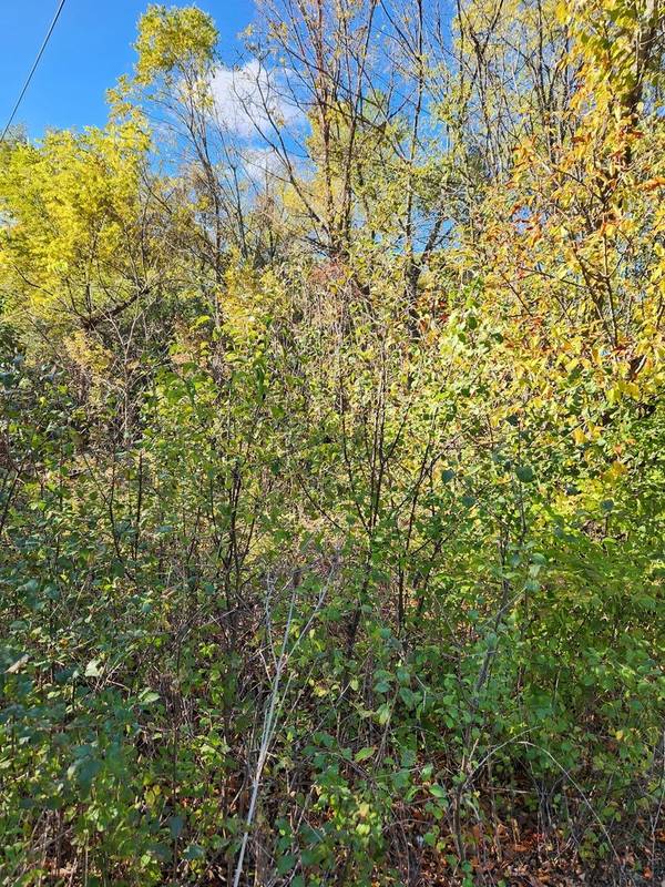 27W0S Roosevelt RD, Winfield, IL 60190