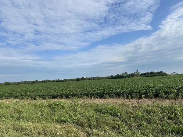 30 Acres Church and Racine AVE, Beecher, IL 60401