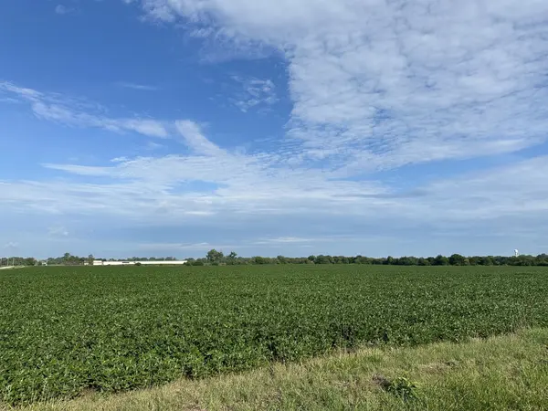 30 Acres Church and Racine AVE, Beecher, IL 60401