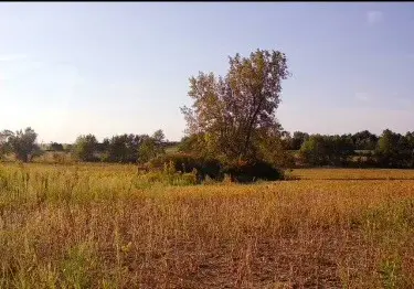 Lot 8 S 80th AVE, Monee, IL 60449