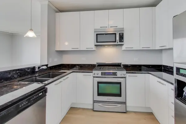 225 N Columbus DR #7203, Chicago, IL 60601