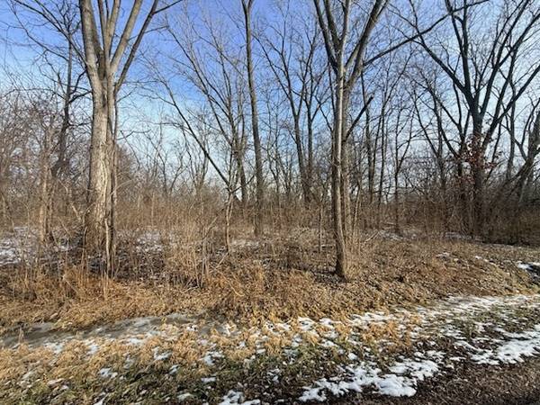 4802 Brorson LN, Johnsburg, IL 60051