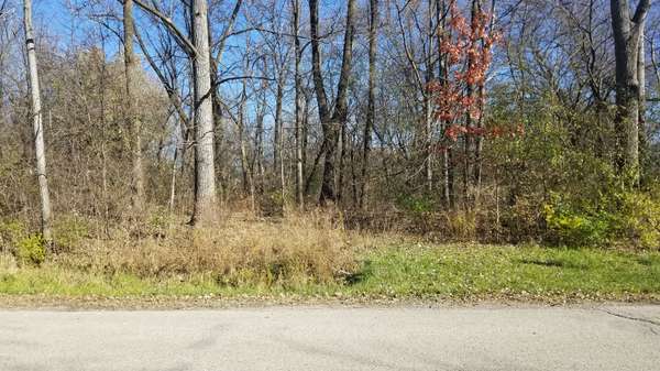 4802 Brorson LN, Johnsburg, IL 60051