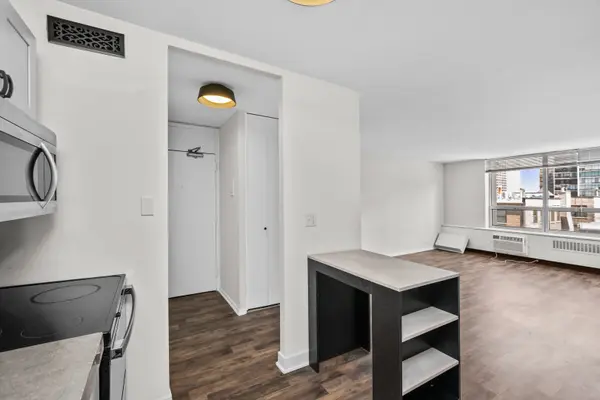 70 W BURTON PL #704F, Chicago, IL 60610