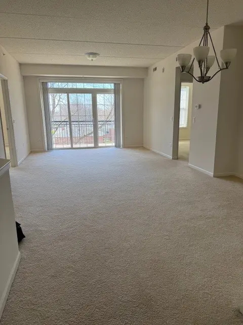 190 W Johnson ST #305, Palatine, IL 60067